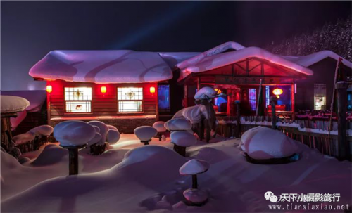 天津北国冰雪传奇：雾凇岛、雪乡、丹顶鹤，东北虎、五大连池，大平台