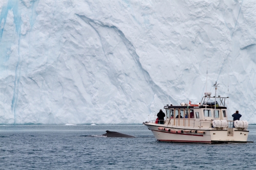 陇南世界的尽头--格陵兰+法罗群岛摄影之旅