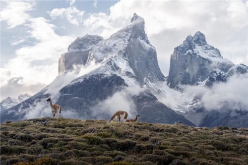 吕梁【秘鲁+玻利维亚+智利+阿根廷】南美23日深度摄影：去一次，就能吹一辈子的旅行